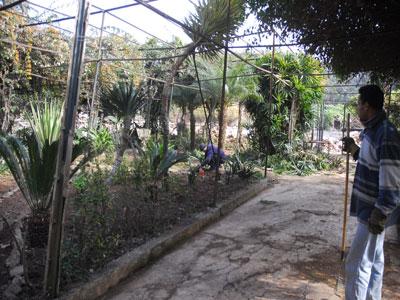 El Bahia soigne son environnement Oran