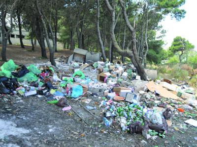 La forêt, un espace de détente inexploité Béjaïa