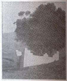 Hawch de Sidi Braham