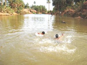 Une nouvelle expérience aquacole sera lancée prochainement au barrage de Tiout, au sud-est du chef lieu de la wilaya de Naama, a-t-on indiqué avant-hier à l’antenne