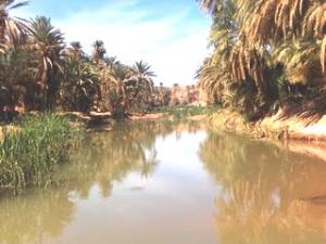 LES ZONES HUMIDES EN ALGERIE OASIS Tiout