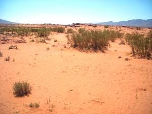 التصحر وخطرالظاهرة