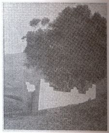 Hawch de Sidi Braham