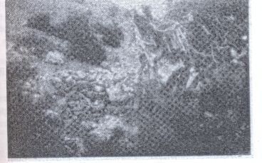 L'empreinte de Serhan (cheval de Sidna Ali)