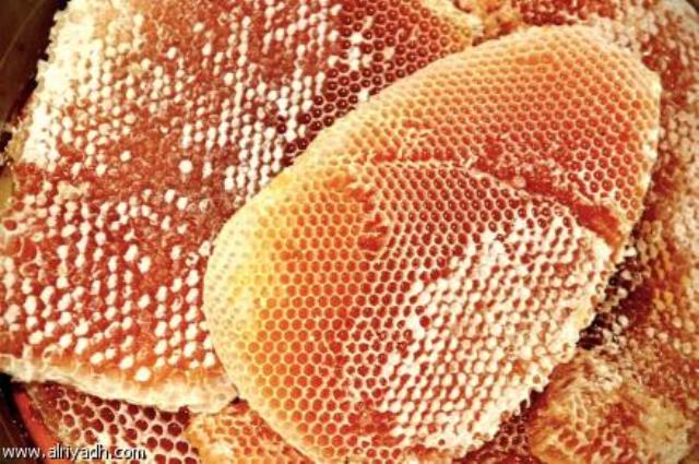 النحلة الصفراء مهددة بالاقراض