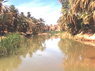 LES ZONES HUMIDES EN ALGERIE OASIS Tiout