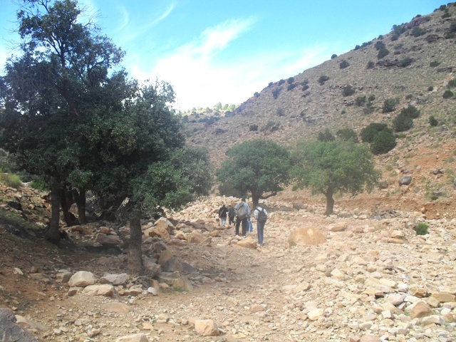 منوغرافيا ولولاية النعامة