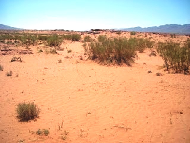 التصحر وخطرالظاهرة