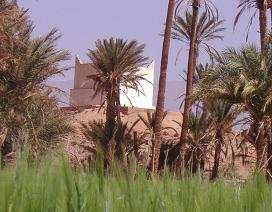 Biographie de  Lala Sfia