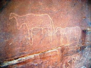 L’Art Rupestre à Tiout