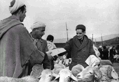le marché hebdomadaire yabous