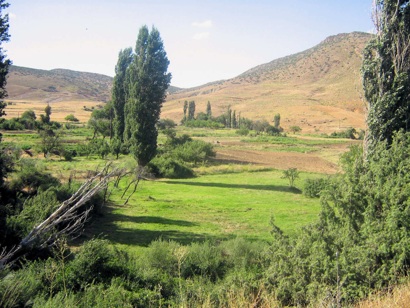 جبل شلية من احسن الامكان السياحية