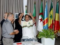 Handball/CAN-2014 Dames (Tirage au sort) : 