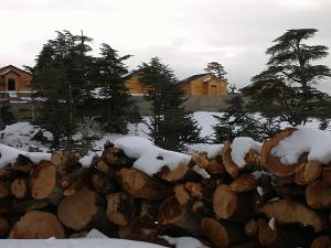 le mont de chélia couvert de neige.