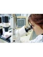 De La Formation Et Des Équipements Scientifiques. Oran Abritera L’événement Au Mois De Janvier Prochain