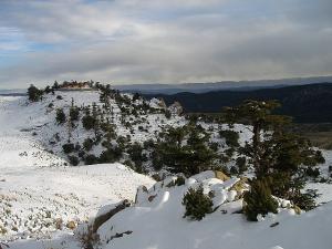 chélia est déjà couverte de neige ----yabous---