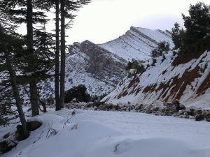 chélia est déjà couverte de neige ----yabous---