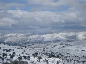 chélia est déjà couverte de neige ----yabous---