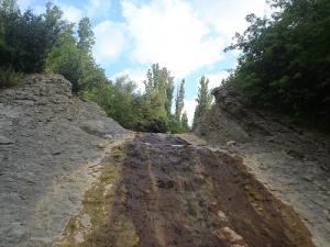 le mont de chélia  yabous -bouhmama