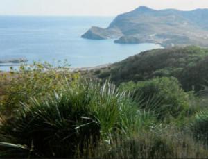 Ain Témouchent Plus d'un milliard de Da pour la relance du tourisme