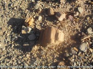 visiteuer au fils du passé