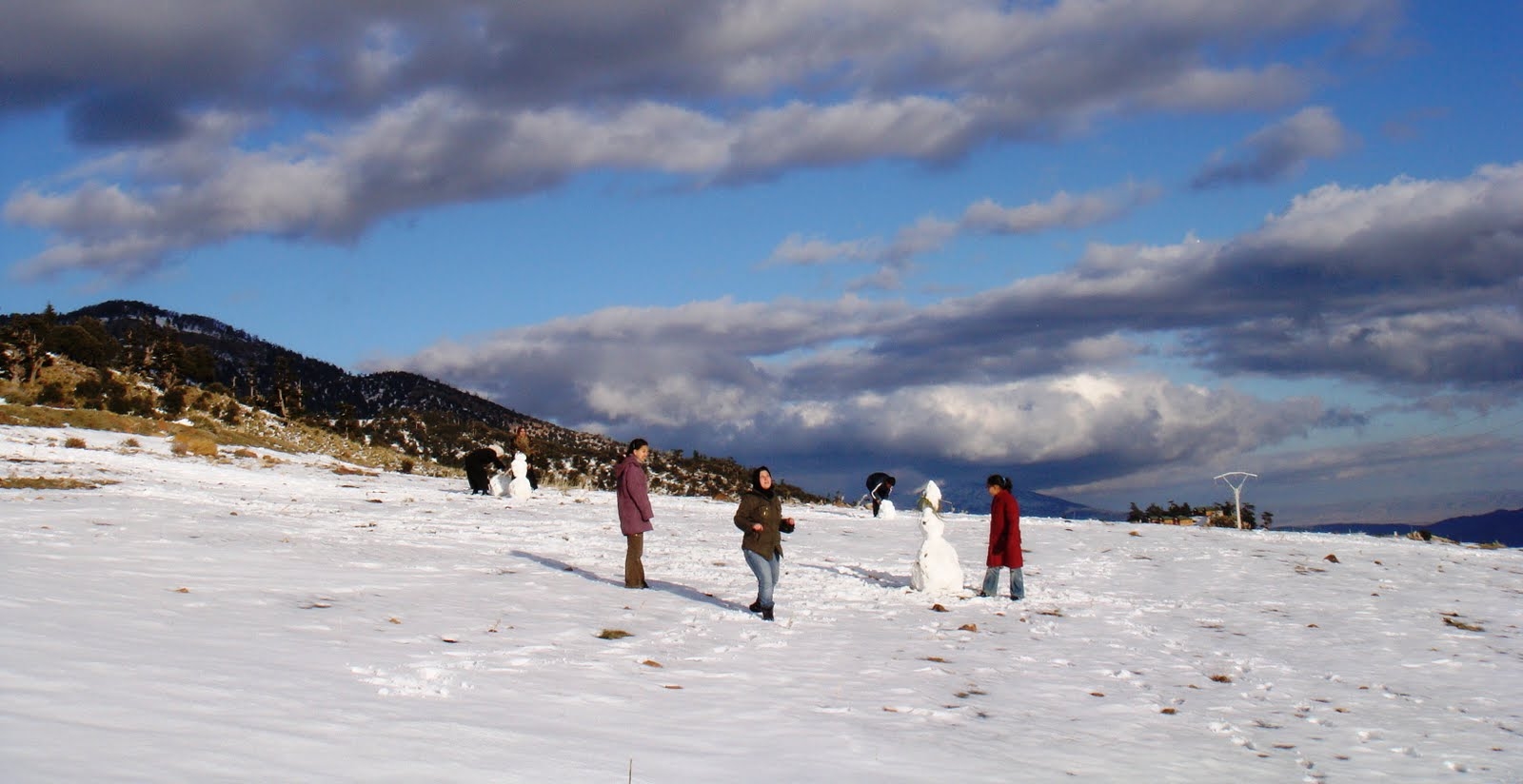 chélia est déjà couverte de neige ----yabous---