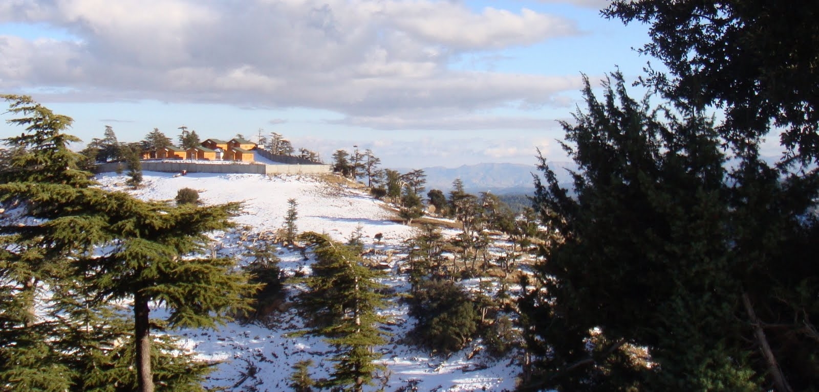 chélia est déjà couverte de neige ----yabous---