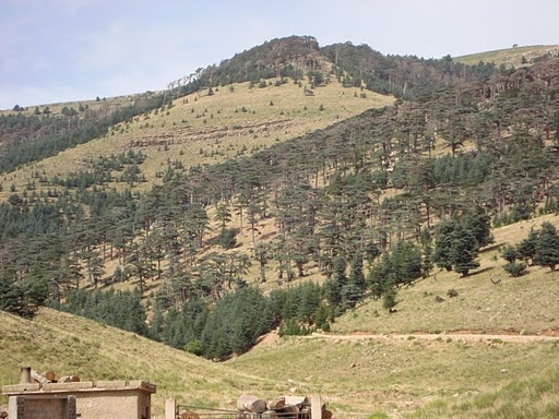 le tourisme à chélia yabous et bouhmama w.khenchela