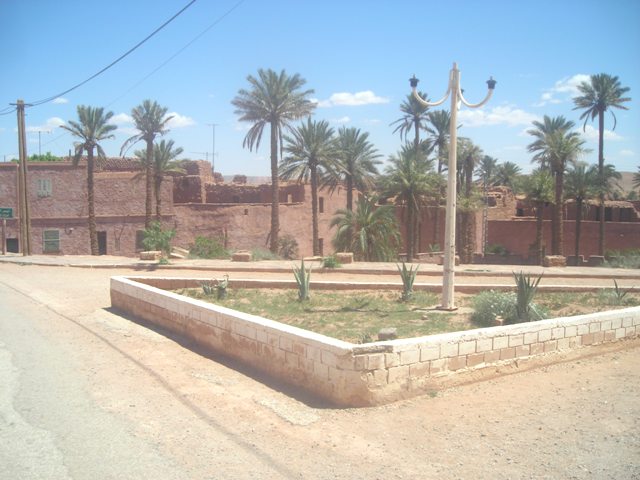 تميز تيوت يجعلها ترقى للعالمية