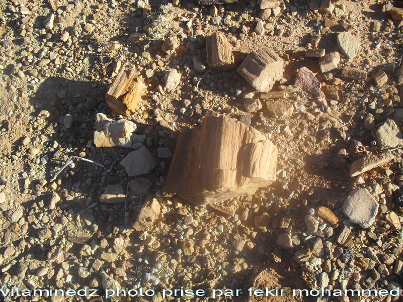 visiteuer au fils du passé