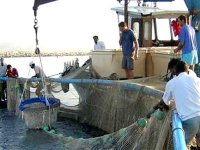 Sensibilisation au système d'accompagnement dans le secteur de la Pêche à Oran