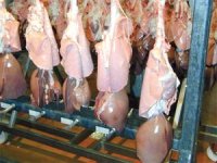 Les abats « désertent » les boucheriesAlger centre