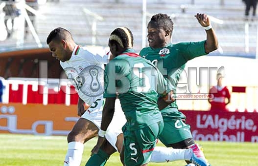 Burkina Faso-Algérie, Aujourd'hui à 17h : Ce ne sont que des Etalons, ce ne sont pas des ogres
