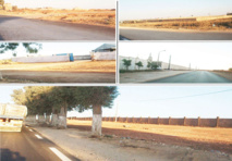 LES EAC DANS LA LIGNE DE MIRE A MOSTAGANEM : Des dizaines de terres agricoles détournées de leur vocation