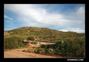 ORAN DES EFFORTS POUR EXPLOITER LES POTENTIALITÉS NATURELLES ET AMÉLIORER LE CADRE DE VIE