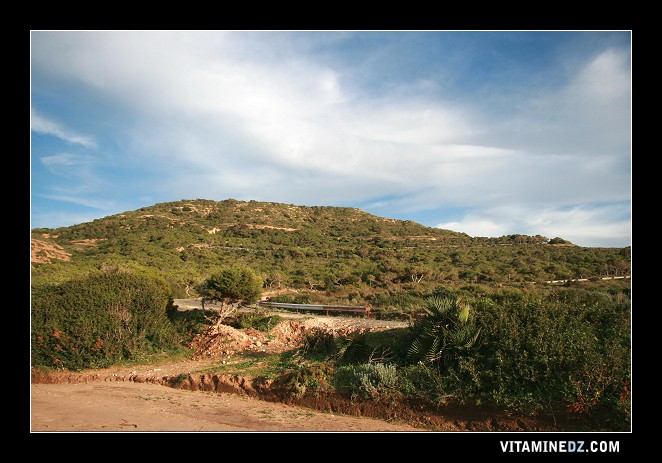 ORAN DES EFFORTS POUR EXPLOITER LES POTENTIALITÉS NATURELLES ET AMÉLIORER LE CADRE DE VIE