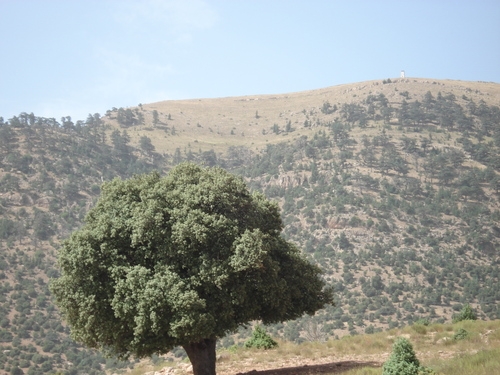 شلية مكان سياحي لا مثيل له...يابوس