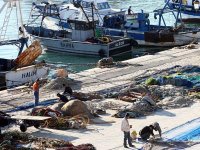 « Des crédits sans intérêt seront octroyés aux investisseurs »Le ministre de la Pêche et des Ressources halieutiques à Tlemcen
