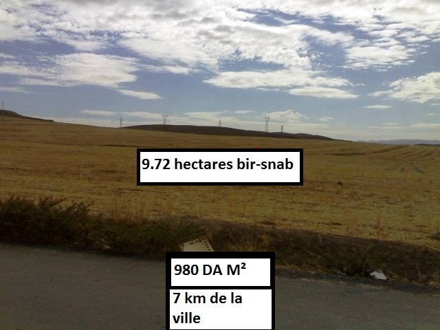 vente terrain agricole avec acte