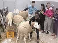 À moins de 24 heures de l'AïdOran retrouve sa ruralité