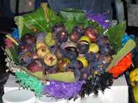 11e Edition de la fête de la figue de BEni MaoucheFiguiculture, une filiale en quête de labellisation