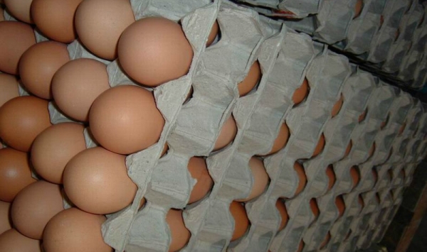 اتحاد التجار يؤكد نجاح المداومة خلال العيد بنسبة 95 % ..ويكشف: 