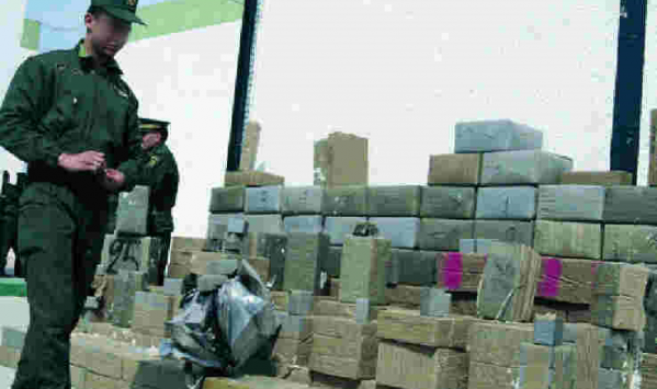 احباط محاولة تهريب 27.55 قنطار من الكيف المعالج في وهران