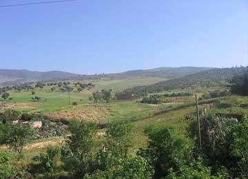 سكان عين السلطان ببرج بوعريريج يغلقون الطريق الوطني رقم 106