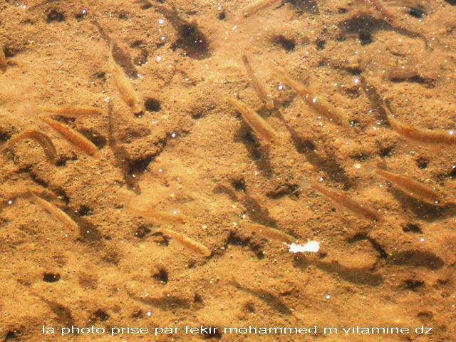 Lancement d'une nouvelle expérience