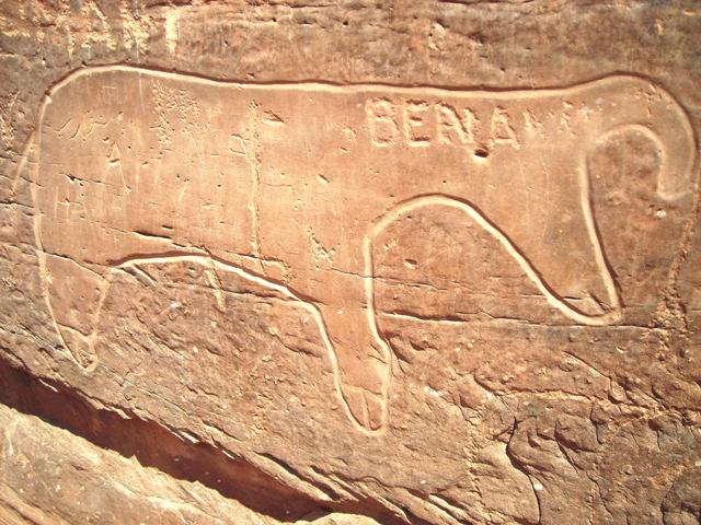 Aïn-Séfra et son ksar, de l’antiquité à l’invasion française