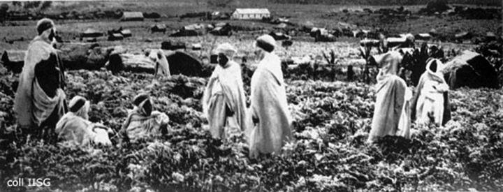 Histoire Un livre remis à l'Algérie sur les 2106 déportés en Nouvelle Calédonie