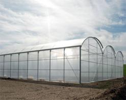 مستغانم عاجزة عن استقطاب مستثمرين لإنجاز بيوت بلاستيكيةكلفة المشروع وبيروقراطية البنوك عائقان أمام تطوير المبادرة