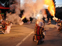 النعامة تنزل ضيفة على عاصمة أولاد نايل