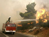 خمسة حرائق تتلف 41 هكتارا من الغابات والأدغال بمعسكر